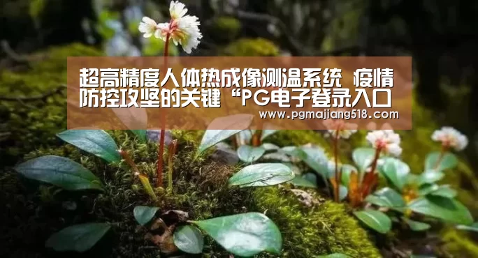超高精度人体热成像测温系统 疫情防控攻坚的关键“PG电子登录入口”(图1) PG棋牌