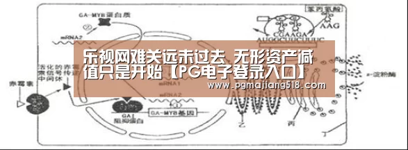 乐视网难关远未过去 无形资产减值只是开始【PG电子登录入口】(图1) PG官网