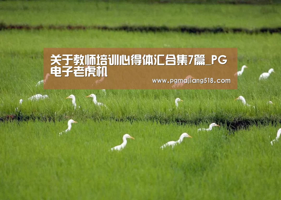 关于教师培训心得体汇合集7篇_PG电子老虎机(图3) PG电子登录入口