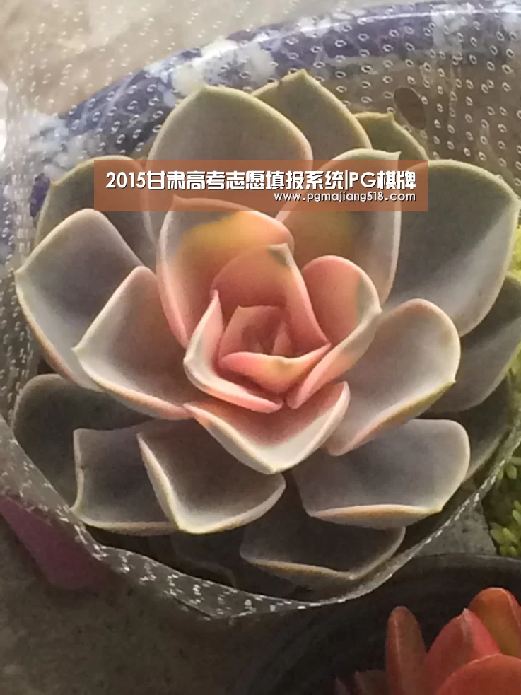 2015甘肃高考志愿填报系统|PG棋牌(图2) PG官网