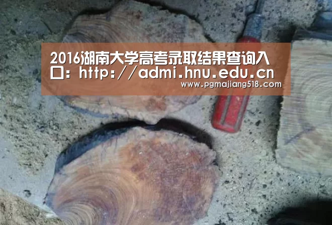 2016湖南大学高考录取结果查询入口:http://admi.hnu.edu.cn/zsblq/index.jsp_PG电子登录入口(图2) PG电子登录入口