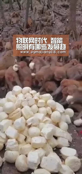 物联网时代 智能照明有哪些发展趋势_PG电子老虎机(图4) PG棋牌