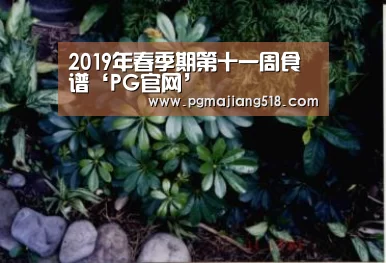 2019年春季期第十一周食谱‘PG官网’(图1) PG棋牌