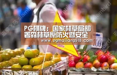 PG电子登录入口